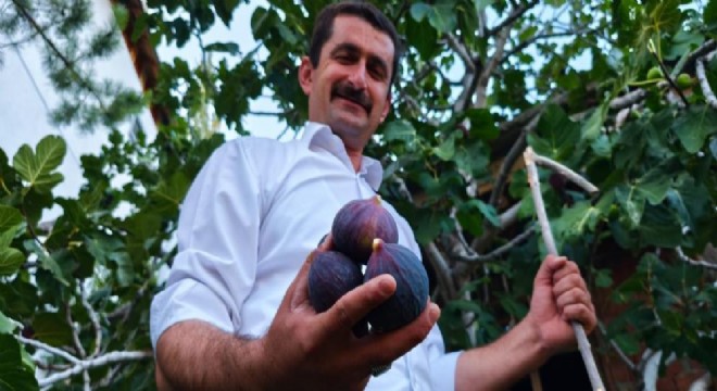 Bursa karası incirini Erzurum’da yetiştirdi